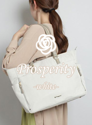 bnr_brand_prosperitywhite
